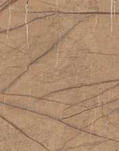 Керамогранит FOGOLD6 12 RM 60x120