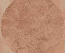 Керамогранит MGVS ArtCraft Cotto Decoro Bolli 20x20