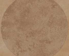 Керамогранит MGVD ArtCraft Coccio Decoro Bolli 20x20