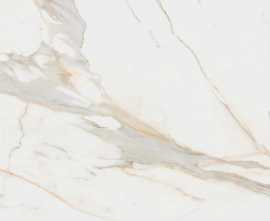 Керамогранит Calacata Gold Compacglass Rect. 120x120