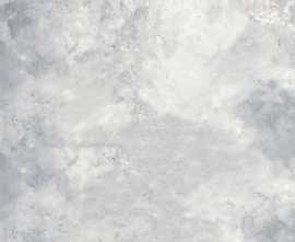 Керамогранит ABS2302 Troya Lappato 60x60