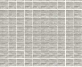Мозаика 756320 Prexious Pearl Attraction Mos.3D Mix 3x3 30x30