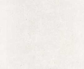 Керамогранит 085.002.0108.15482 Core Mix White MT Rect 120x120
