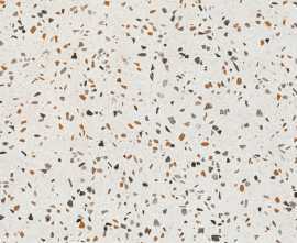 Керамогранит 017.840.0056.14634 Terrazzo Terra 60x60