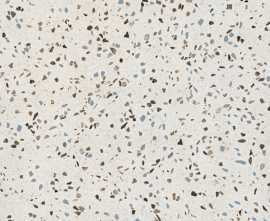 Керамогранит 017.840.0158.14634 Terrazzo Blu 60x60