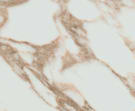 Керамогранит Arabescato Gold glossy Rect. 60x120