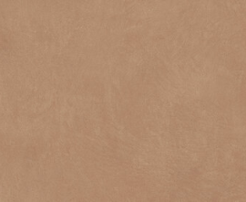 Керамогранит A037676 Anti-Slip Argillae Gobi Rect R11 60х120