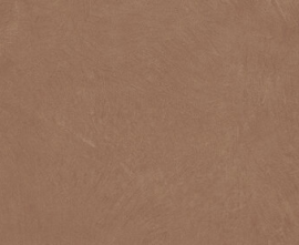 Керамогранит A037667 Argillae Terra Rect R10 60х120