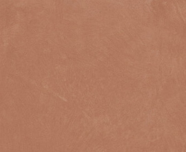 Керамогранит A037668 Argillae Coral Rect R10 60х120