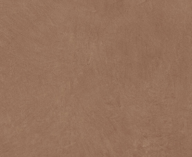 Керамогранит A037677 Argillae Terra Rect R10 60х60