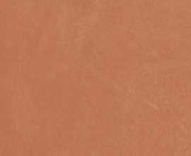 Керамогранит A037678 Argillae Coral Rect R10 60х60