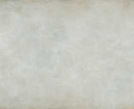 Керамогранит Patina Plate white MAT 119.8x59.8