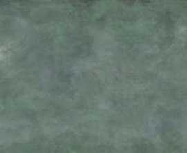 Керамогранит Patina Plate green MAT 119.8x59.8
