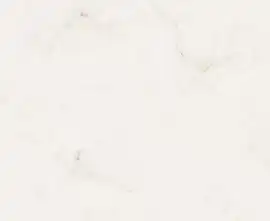 Керамогранит AB 1012G Onix Ice gloss 1200x600