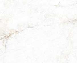 Керамогранит 017.869.0001.11484 Crystal White Compacglass Rect. 60x120