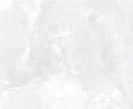 Керамогранит EC.Calacatta Eternal white 017 Mt 60x120