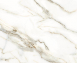 Керамогранит Carrara white 60x120