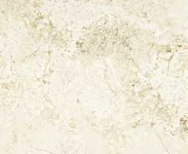 Керамогранит Alabaster Shine MAT 59.8x59.8
