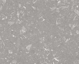 Керамогранит 4CI4 Luna-R Gris R10 120x120