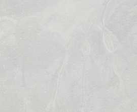 Керамогранит 4ZLG Salerno-R Gris 60x120