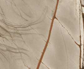 Керамогранит 774891 Nature Mood Rainforest Comfort 6mm 60x120