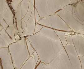 Керамогранит 774717 Nature Mood Rainforest Glossy RT 6mm 120x280