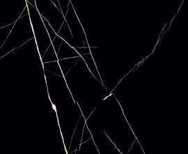 Керамогранит Nero Marquina HG 60x60