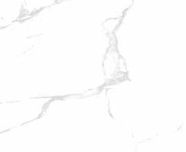 Керамогранит Silver white PGVT 60x60