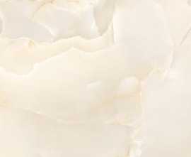 Керамогранит Cristallo Onyx Beige Glossy 60х120