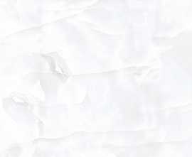 Керамогранит RS Coin White Porsh Carving 60x120