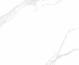 Керамогранит NTT9106P Statuario 60x120