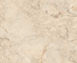 Керамогранит NTT995150M Ivory Endless Mat 60x60