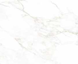 Керамогранит NTT99526M Marble Extra Endless 60x120