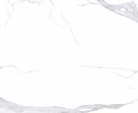 Керамогранит NTT3008P Bianco Statuario 120x240