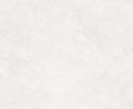 Керамогранит LP6012G0331R Stucco Bianco PRO белый матовый R10 STR 59.5х119.1