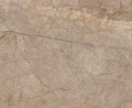 Керамогранит A17056 Silver roots серый ректификат 60x120