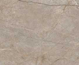 Керамогранит 17124 Silver Roots серый матовый ректификат 60x120