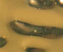 Мозаика GR 02G Gold 2x2 32.7x32.7