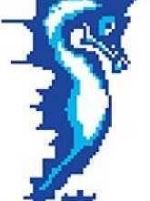 Мозаика SD-122 Porcelain Mosaic Design Sea Horse 5x5 (270x510)