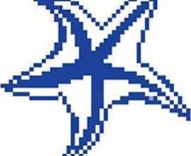 Мозаика SD-118 Porcelain Mosaic Design Starfish 2 5x5 (240x240)