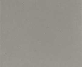 Клинкерная плитка Natura 013 Grey R11 244x244x14