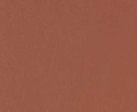 Клинкерная плитка Natura 018 Red R11 244x244x14
