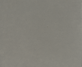 Клинкерная плитка 902800 Cotto Gris 33x33