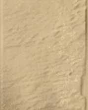 Клинкерная плитка Eremite Sand Elewacja Struktura Mat 40x6,6
