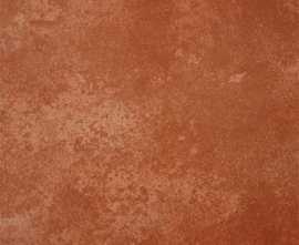 Клинкерная плитка 059 Kastanie 31x31x8