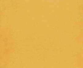 Керамогранит 1900 Amarillo g.136 20x20