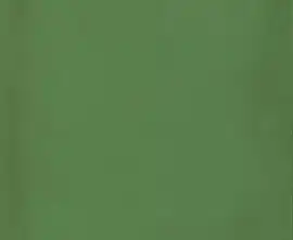 Керамогранит 1900 Verde g.136 20x20