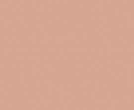 Керамогранит 27681 Bauhome Rose 20х20