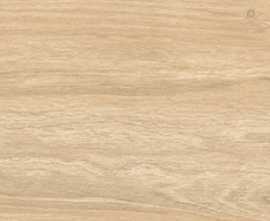 Керамогранит Epiq Miele светло-бежевый Матовый Структурный 20x120