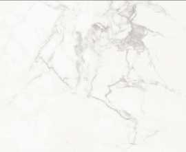 Керамогранит PRO 1112G Carrara Classic 1200x600
